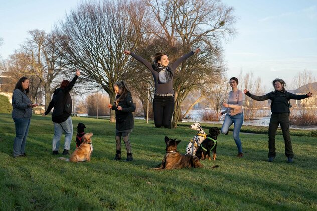 Eine Gruppe von Menschen, die mit ihren Hunden im Park sind