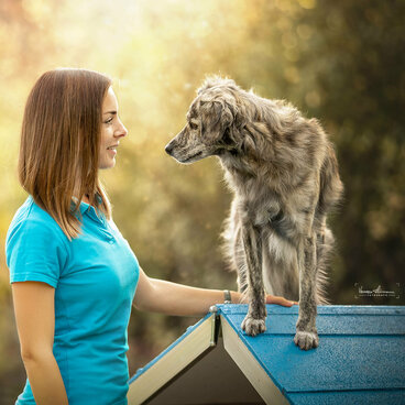 Frau schaut zu einem Hund, der auf einem Hundehäuschen steht