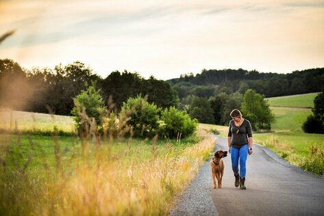 Mensch und Hund gehen entspannt einen Feldweg entlang und halten Blickkontakt