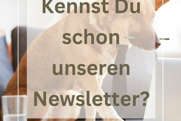 Hund liest Newsletter der Hundeschule